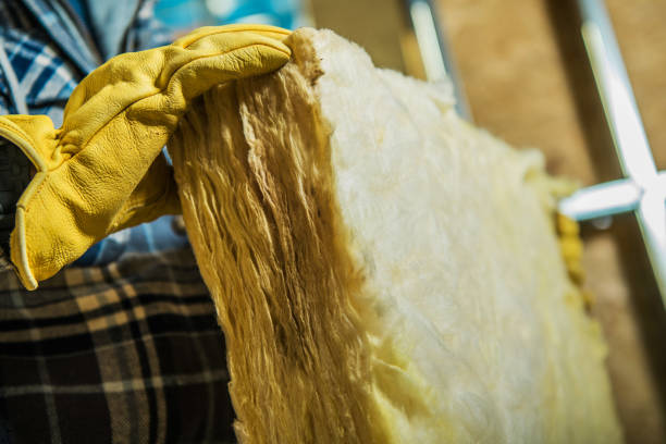 Best Insulation Contractors for Homes  in Hopkins, MN