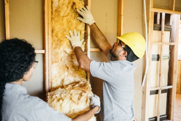 Best Insulation Replacement Services  in Hopkins, MN